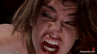 Bound lesbian butt fucking fisted and copulated